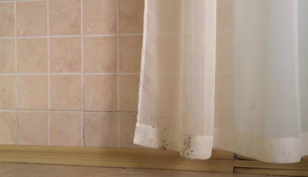 Best Attic Mold Removal  in Melbourne Beach, FL