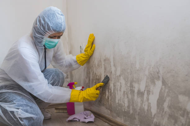 Mold Removal for HVAC Installations in Melbourne Beach, FL