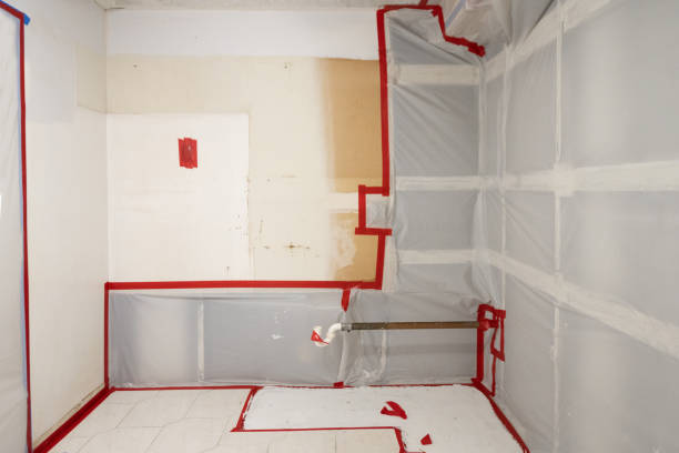 Best Black Mold Removal  in Melbourne Beach, FL