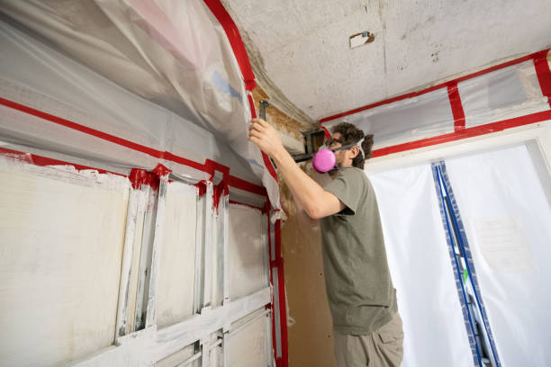 Best HVAC Mold Inspection and Cleaning  in Melbourne Beach, FL