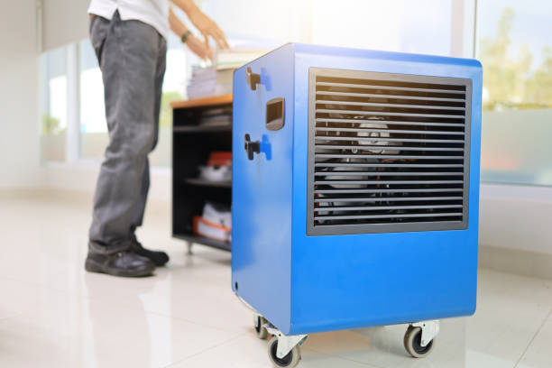 Best Mold Documentation for Insurance Claims  in Melbourne Beach, FL