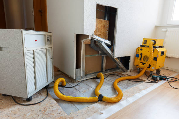 Best Real Estate Mold Inspection  in Melbourne Beach, FL