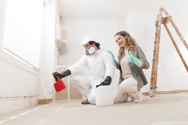 Best Indoor Air Quality Assessment  in Melbourne Beach, FL